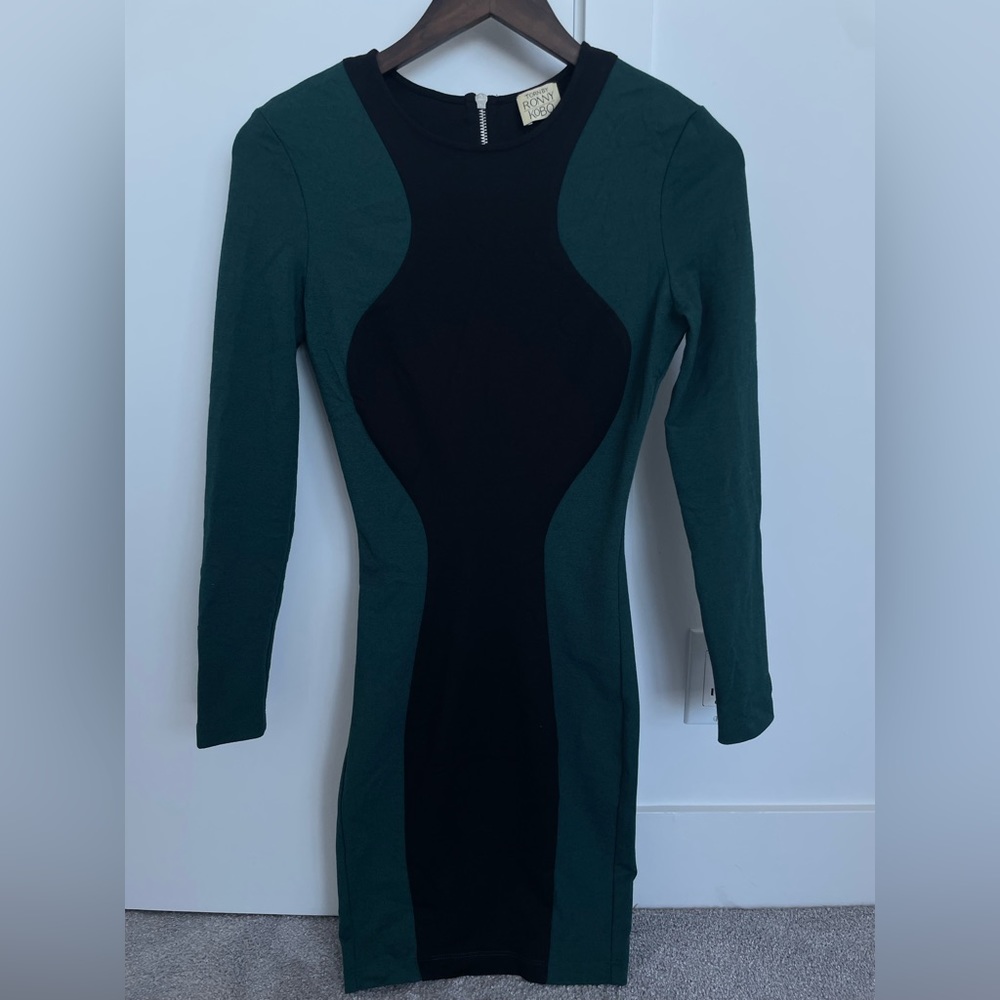 Torn by Ronny Kobo body con dress
